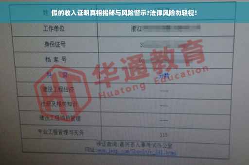 假的收入证明真相揭秘与风险警示?法律风险勿轻视！