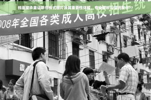 档案室承重证明书格式图片及其重要性详解，专业解析与实例展示??