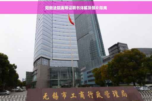 阳新法院离婚证明书详解及图片指南