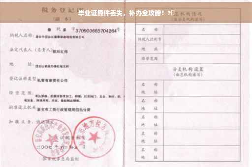 毕业证原件丢失，补办全攻略！?✨