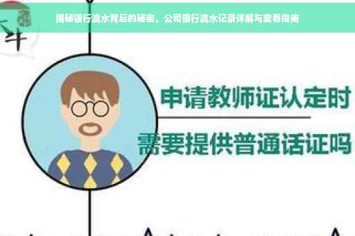 揭秘银行流水背后的秘密，公司银行流水记录详解与查看指南