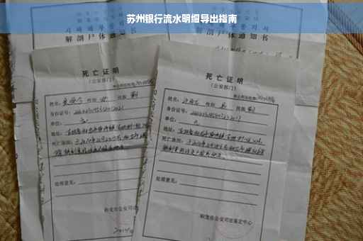苏州银行流水明细导出指南