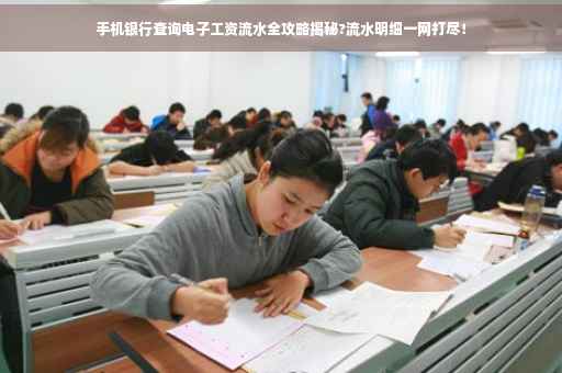 手机银行查询电子工资流水全攻略揭秘?流水明细一网打尽！