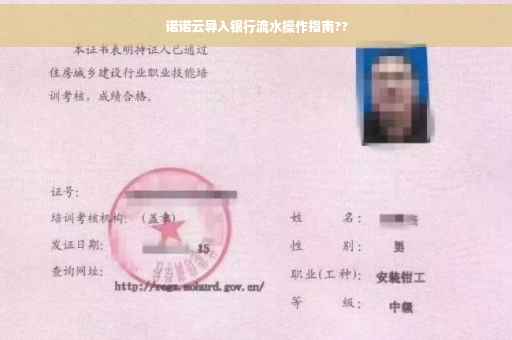 诺诺云导入银行流水操作指南??