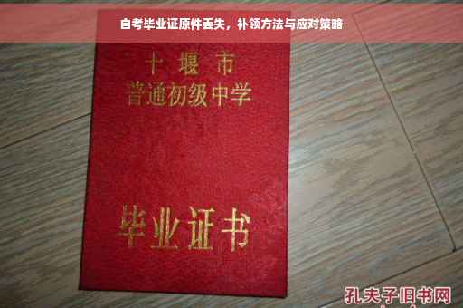 自考毕业证原件丢失，补领方法与应对策略