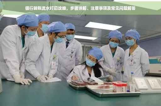 银行转账流水打印攻略，步骤详解、注意事项及常见问题解答