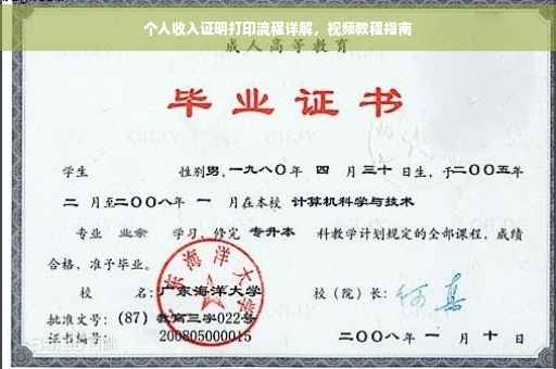 个人收入证明打印流程详解，视频教程指南