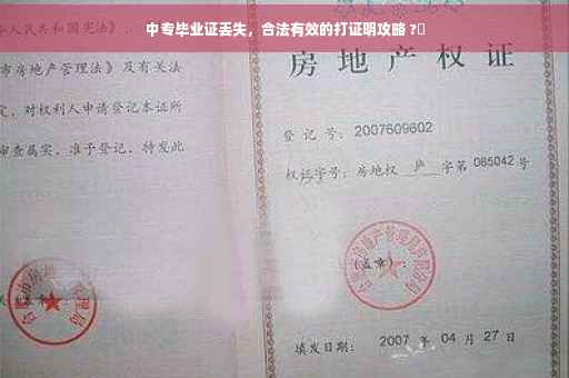 中专毕业证丢失，合法有效的打证明攻略 ?✨