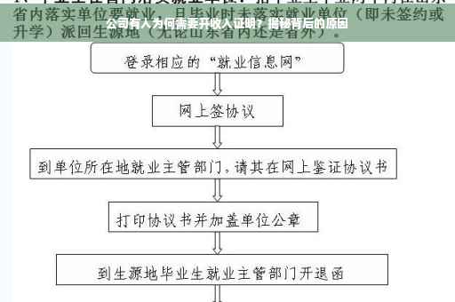 公司有人为何需要开收入证明？揭秘背后的原因
