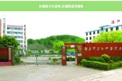 计算机十大证书,计算机证书排名
