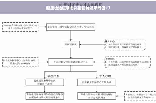 健康检验证明书高清图片展示专区?✨