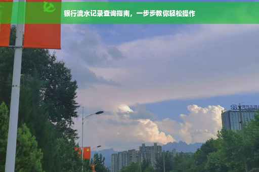 银行流水记录查询指南，一步步教你轻松操作