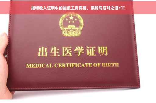 揭秘收入证明中的最低工资真相，误解与应对之道?⚡️