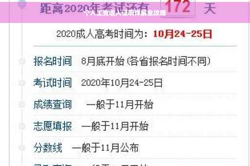 个人工资收入证明详解全攻略