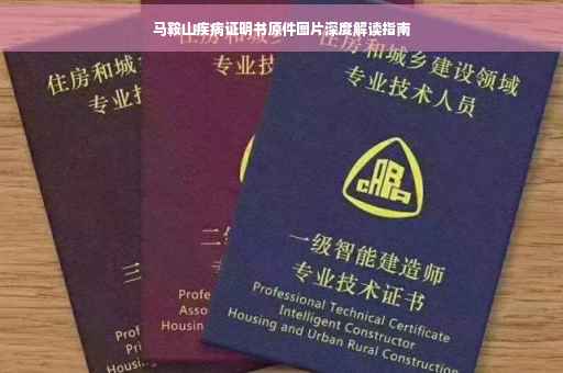马鞍山疾病证明书原件图片深度解读指南
