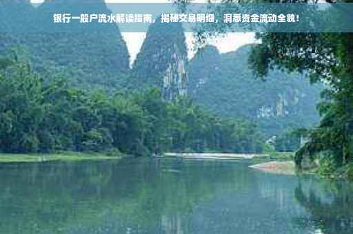 银行一般户流水解读指南，揭秘交易明细，洞悉资金流动全貌！