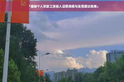 「揭秘个人贷款工资收入证明真相与实用建议指南」