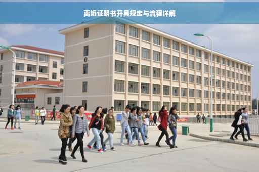 离婚证明书开具规定与流程详解