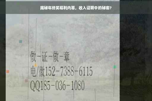 揭秘年终奖福利内幕，收入证明中的秘密?