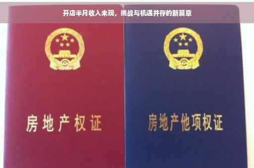 开店半月收入未现，挑战与机遇并存的新篇章