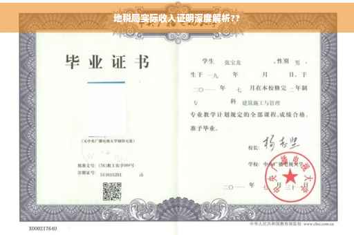 地税局实际收入证明深度解析??