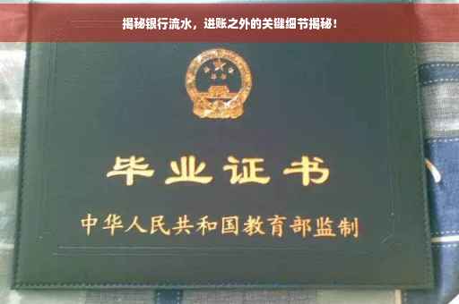 揭秘银行流水，进账之外的关键细节揭秘！
