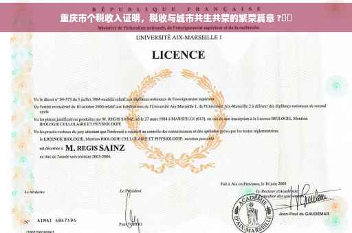 重庆市个税收入证明，税收与城市共生共荣的繁荣篇章 ?⚡️
