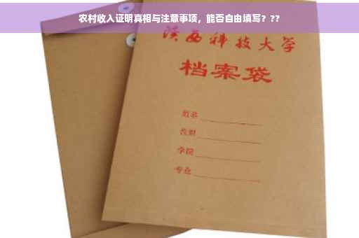 农村收入证明真相与注意事项，能否自由填写？??