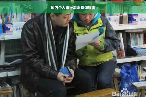 国内个人银行流水查询指南