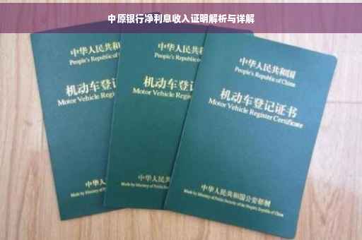 中原银行净利息收入证明解析与详解