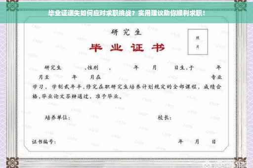 毕业证遗失如何应对求职挑战？实用建议助你顺利求职！