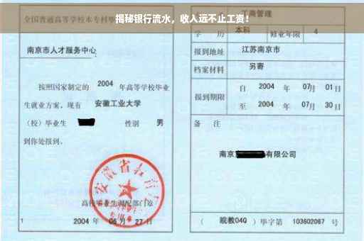 揭秘银行流水，收入远不止工资！