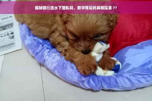 揭秘银行流水下载乱码，数字背后的真相探索 ??