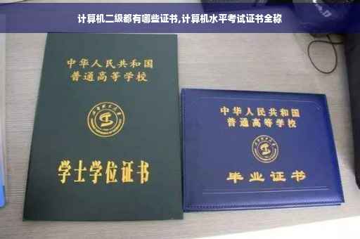 计算机二级都有哪些证书,计算机水平考试证书全称