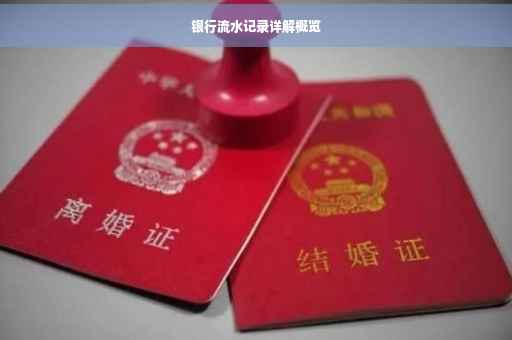 银行流水记录详解概览
