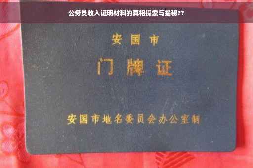 公务员收入证明材料的真相探索与揭秘??