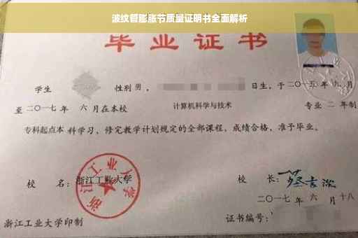 波纹管膨胀节质量证明书全面解析