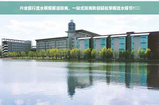 兴业银行流水明细解读指南，一站式指南助你轻松掌握流水细节?⚡️
