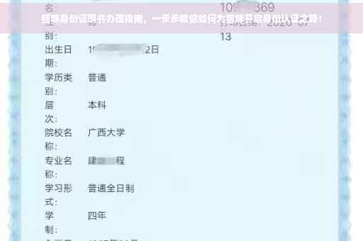 猫咪身份证明书办理指南，一步步教你如何为猫咪开启身份认证之路！