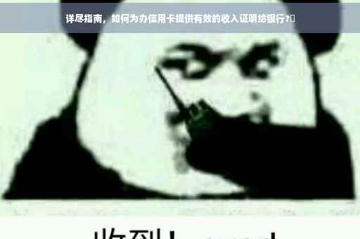 详尽指南，如何为办信用卡提供有效的收入证明给银行?✨