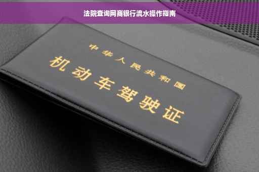 法院查询网商银行流水操作指南