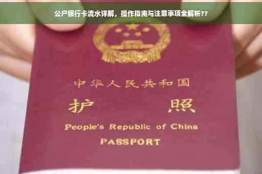 公户银行卡流水详解，操作指南与注意事项全解析??