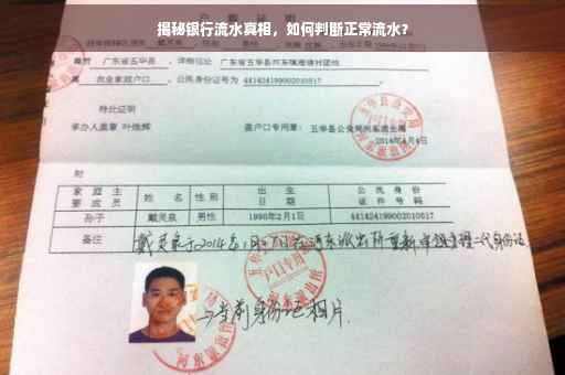 揭秘银行流水真相，如何判断正常流水？