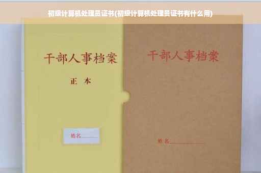 初级计算机处理员证书(初级计算机处理员证书有什么用)