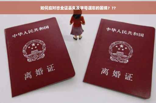 如何应对毕业证丢失及学号遗忘的困境？??