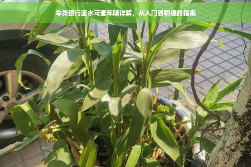 车贷银行流水可查年限详解，从入门到精通的指南