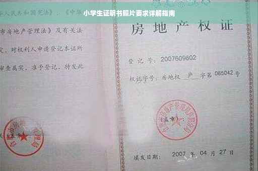 小学生证明书照片要求详解指南