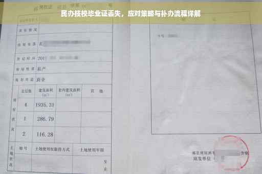民办技校毕业证丢失，应对策略与补办流程详解