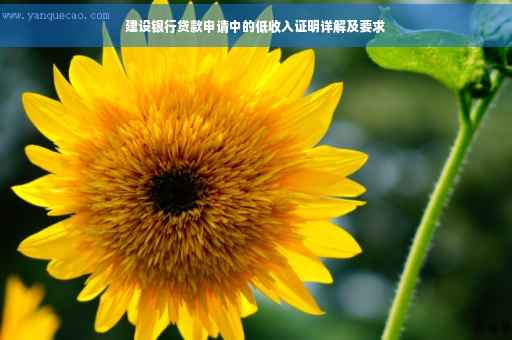 建设银行贷款申请中的低收入证明详解及要求 建设银行贷款申请中的低收入证明详解及要求