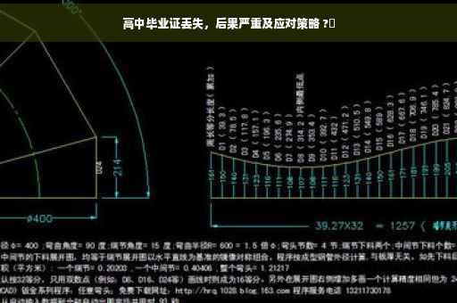 高中毕业证丢失，后果严重及应对策略 ?✨